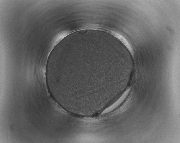 X0000116570954201001071152