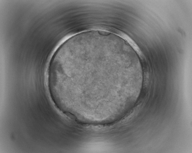 X0000116570955201001071152