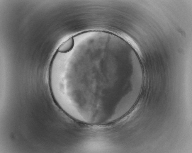 X0000116570958201001071152