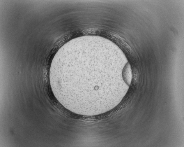 X0000116570964201001071151