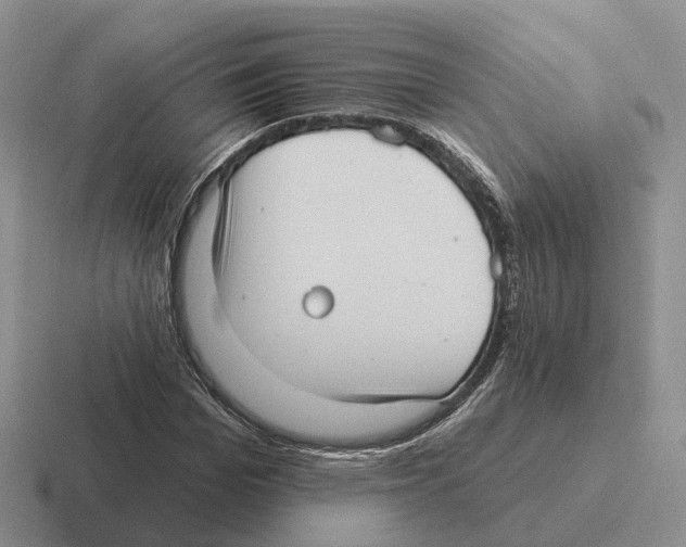 X0000116570969201001071151