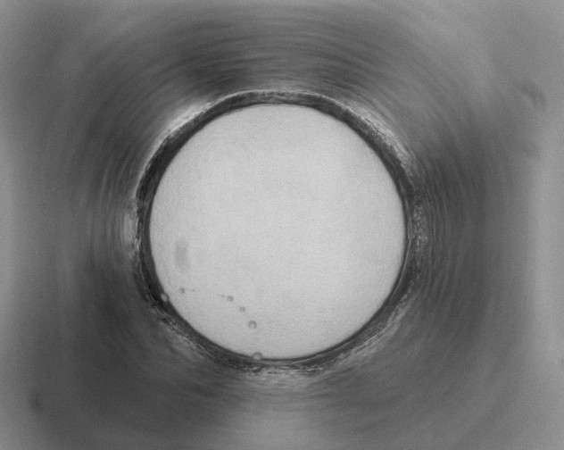 X0000116570974201001071151