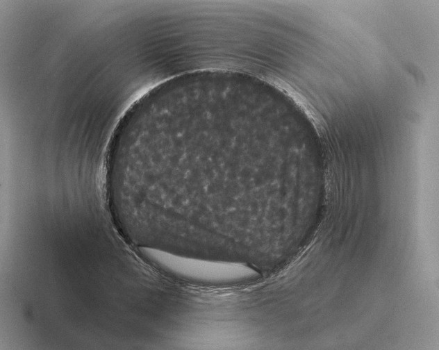 X0000116570975201001071151