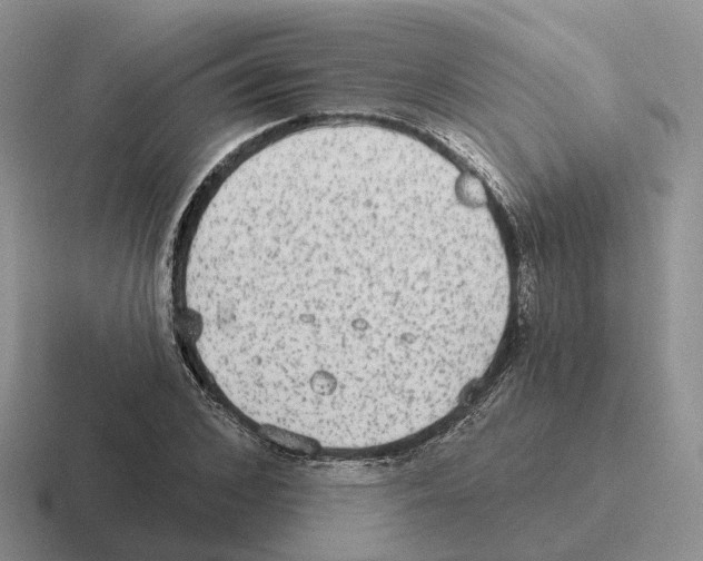 X0000116570976201001071151