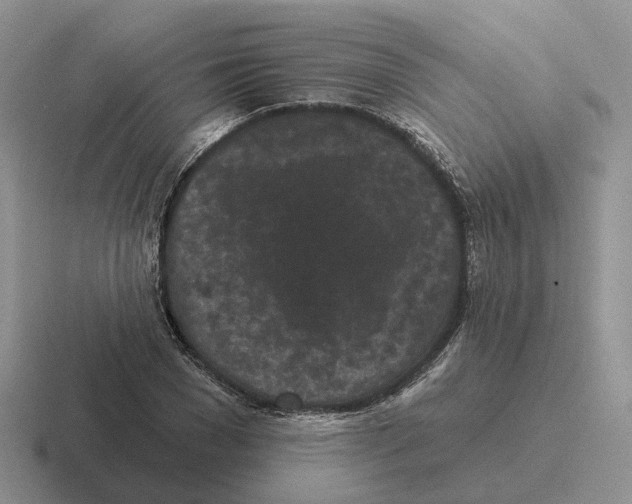 X0000116570977201001071151