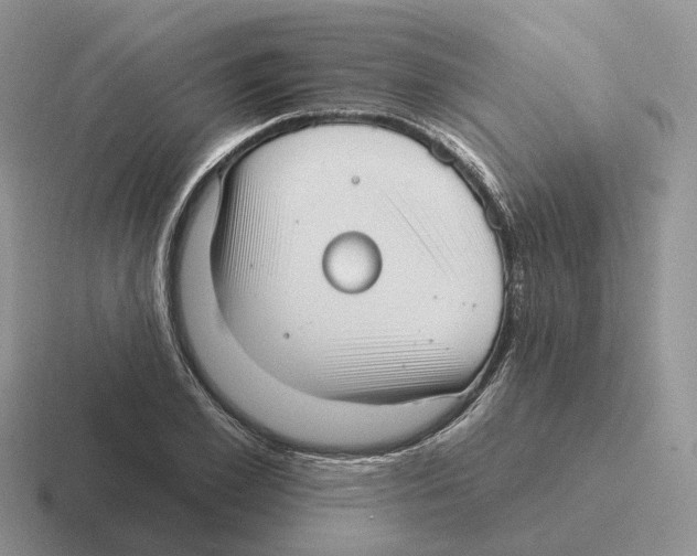 X0000116570981201001071151