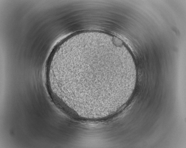 X0000116570987201001071151