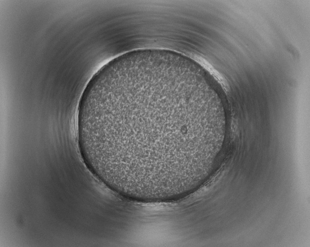 X0000116570988201001071151