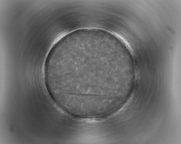 X0000116570990201001071151