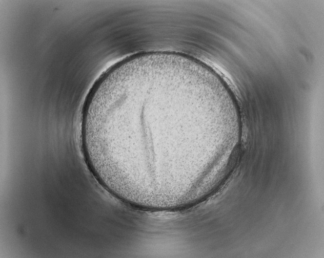 X0000116570992201001071151