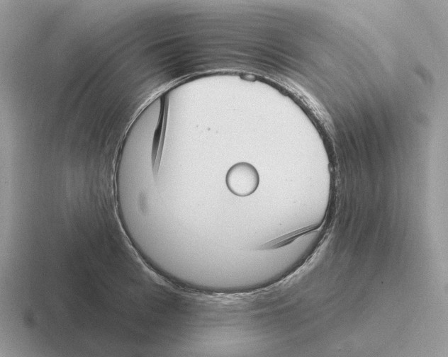 X0000116570993201001071151