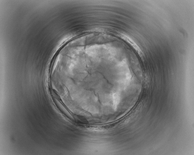 X0000116570994201001071151