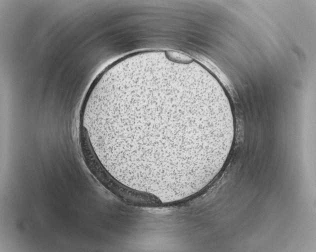 X0000116570996201001071151