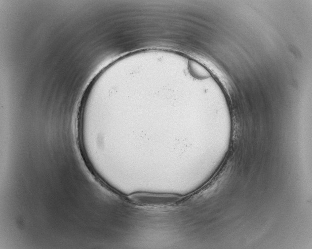 X0000116570999201001071151