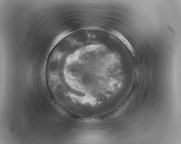 X0000116571002201001071151