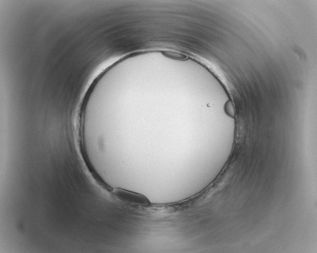 X0000116571003201001071151