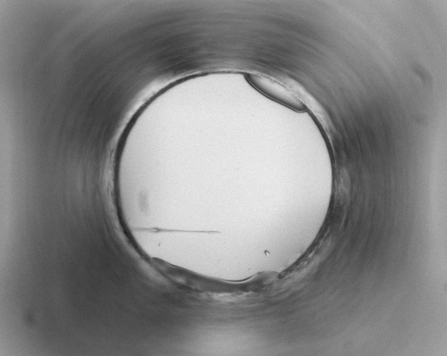 X0000116571005201001071151