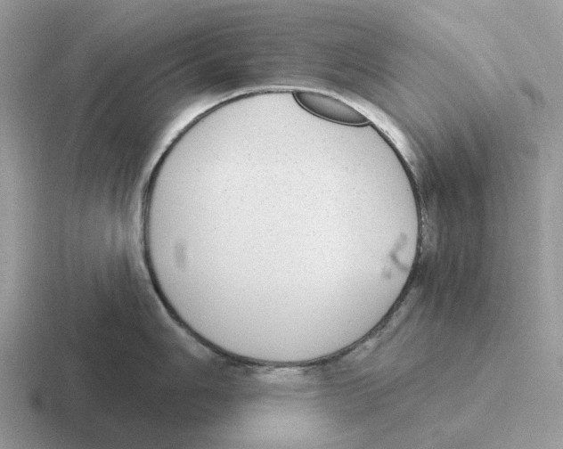 X0000116571006201001071151