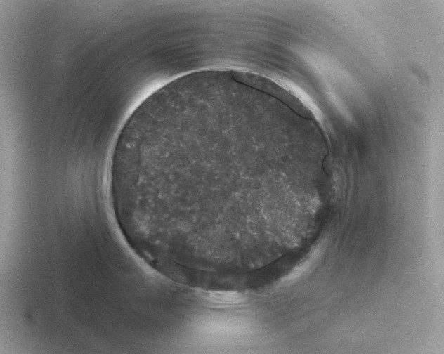 X0000116571007201001071151