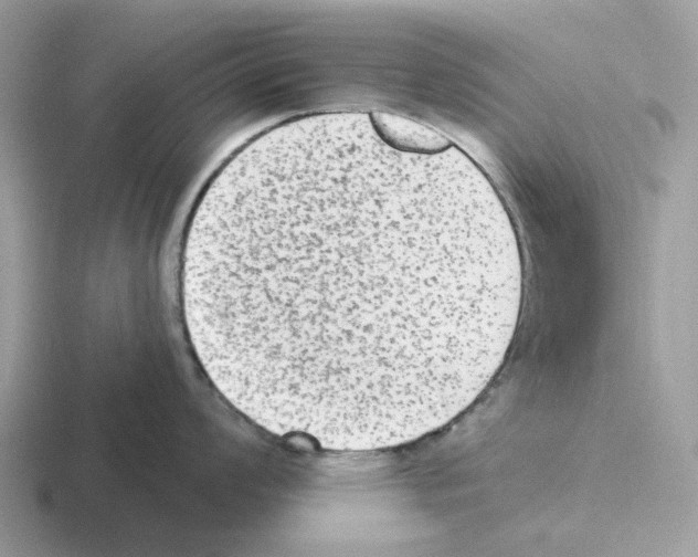 X0000116571008201001071151