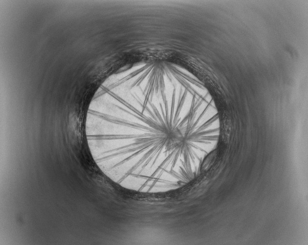 X0000116571010201001071150