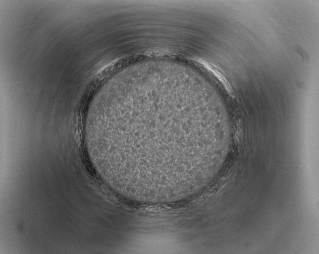 X0000116571015201001071150