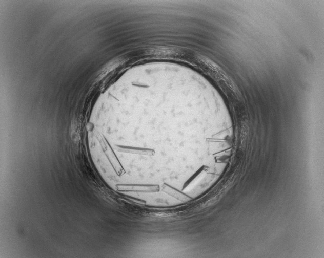 X0000116571017201001071150