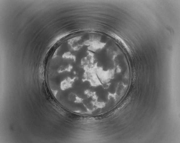 X0000116571019201001071150