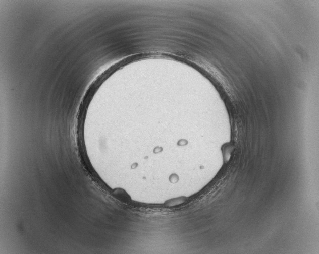 X0000116571020201001071150