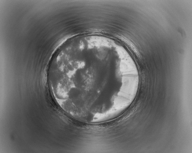 X0000116571023201001071150