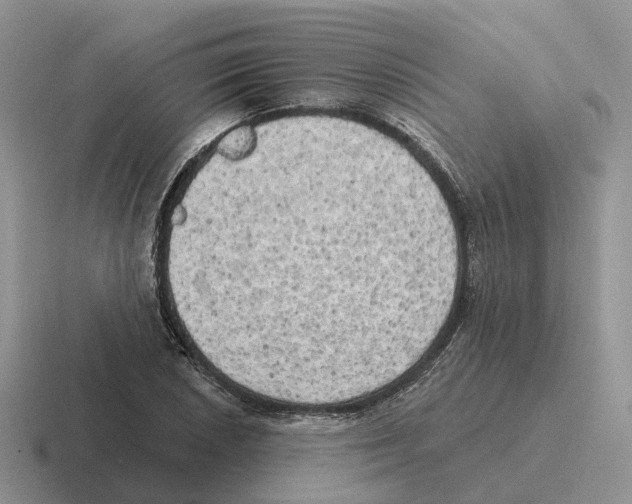 X0000116571026201001071150