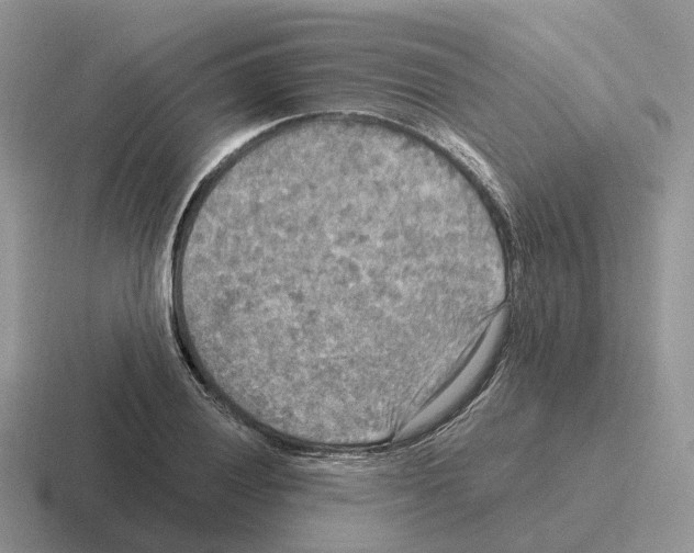 X0000116571028201001071150