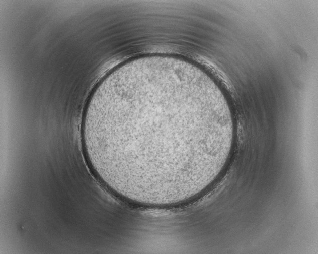 X0000116571033201001071151