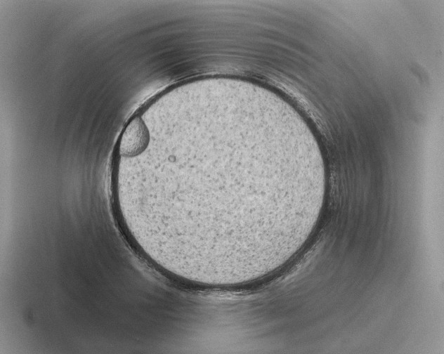 X0000116571034201001071151