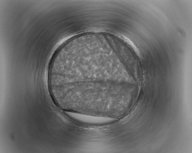 X0000116571035201001071151