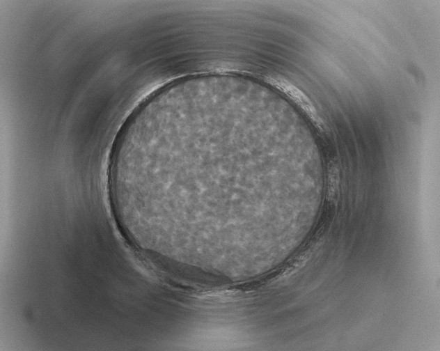 X0000116571039201001071151