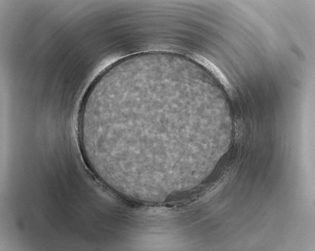 X0000116571043201001071151