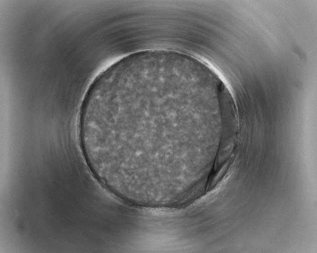 X0000116571045201001071151