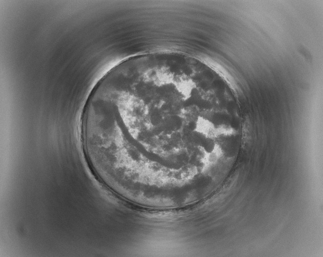 X0000116571047201001071151