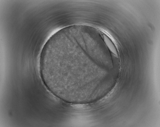 X0000116571048201001071151