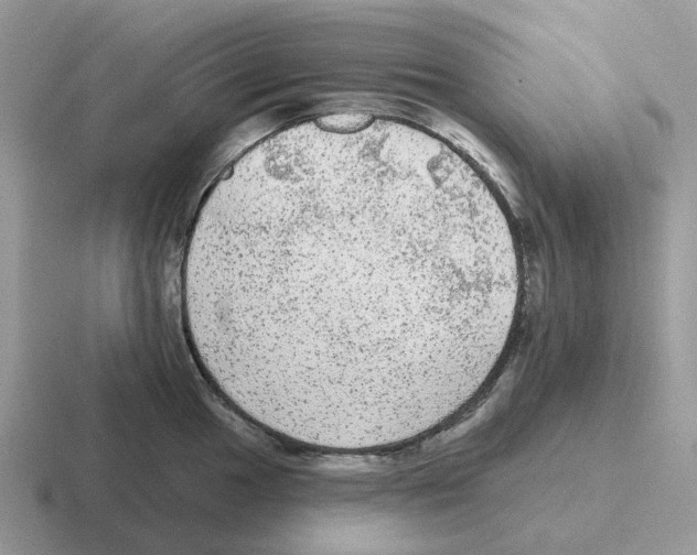 X0000116571049201001071151