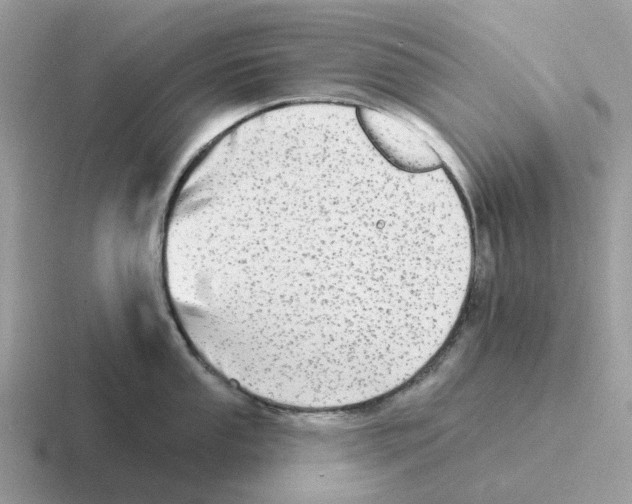 X0000116571053201001071151