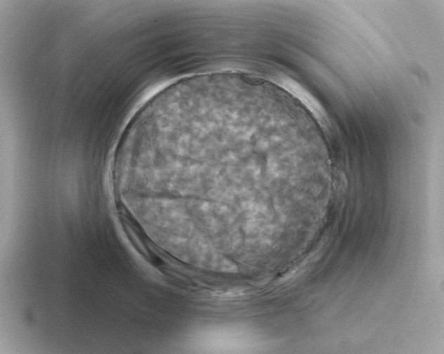 X0000116571055201001071151