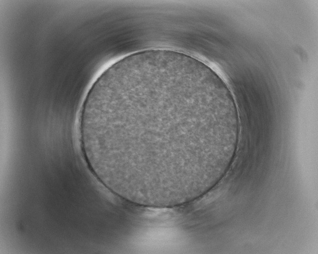 X0000116571056201001071151