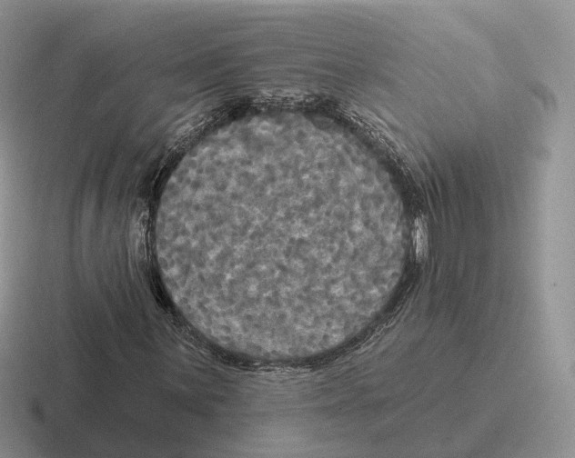 X0000116571059201001071150