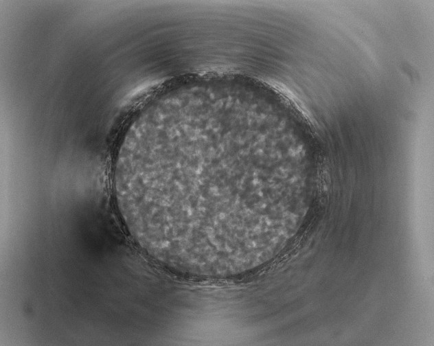 X0000116571063201001071150