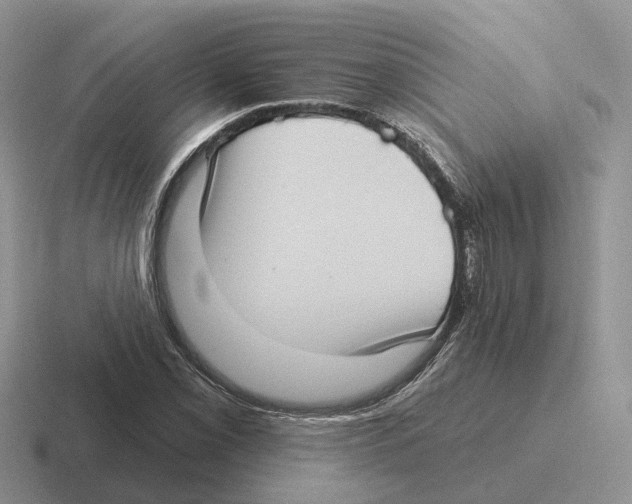 X0000116571069201001071150