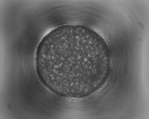 X0000116571071201001071150