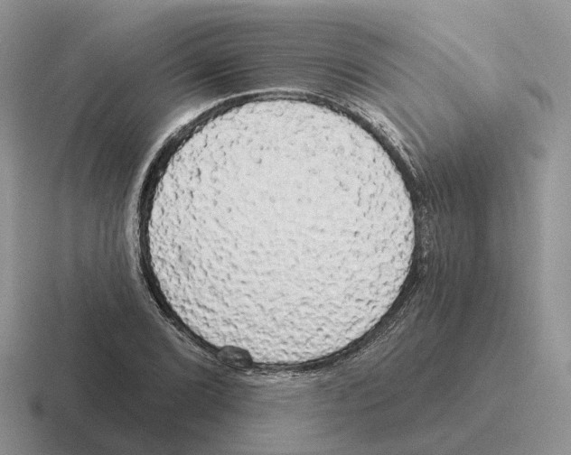 X0000116571072201001071150