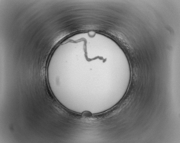 X0000116571073201001071150